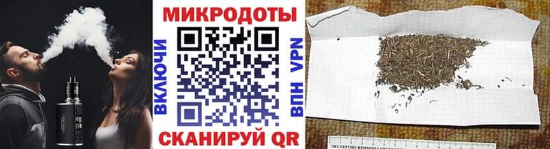 Псилоцибиновые грибы прущие грибы  Кущёвская 